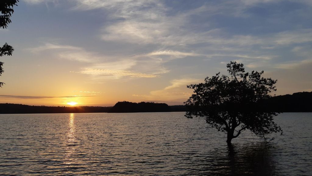 Saiba mais e se inspire em Alter do Chão e na&nbsp;Amazônia