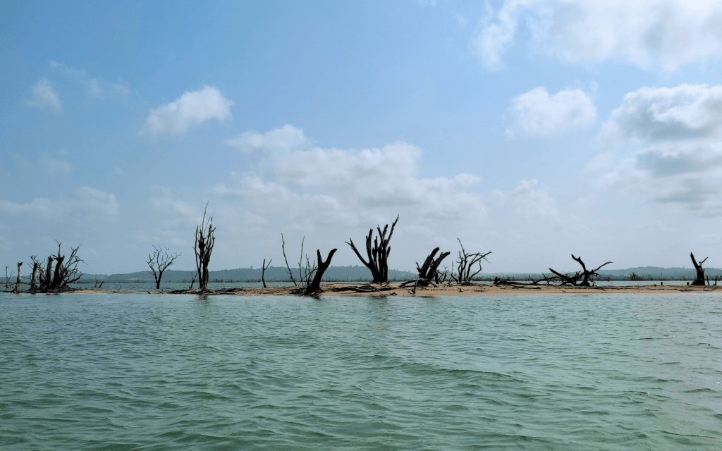 Seminário ‘Depois das Hidrelétricas’ debate alternativas energéticas e impactos sociais e ambientais na Amazônia
