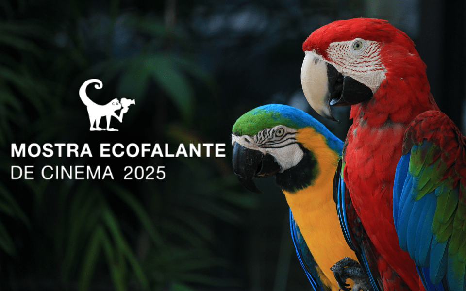 15ª Mostra Ecofalante de Cinema recebe inscrições gratuitas até 15 de janeiro; prêmios são de até R$ 20&nbsp;mil